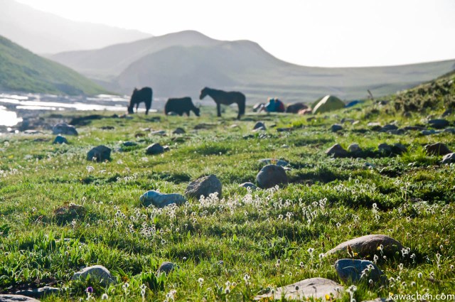 первый день коры