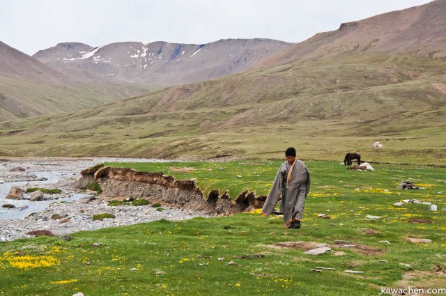 Нако отдыхает после длинного дня