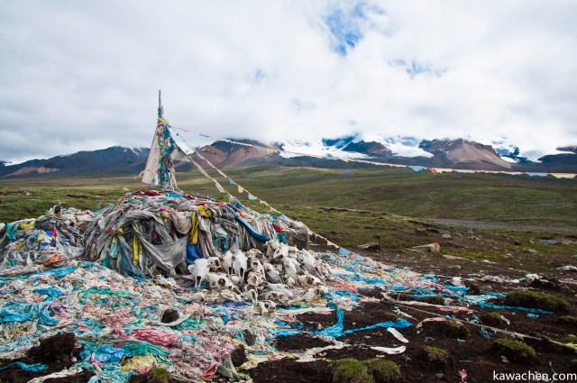 черепа лошадей на перевале