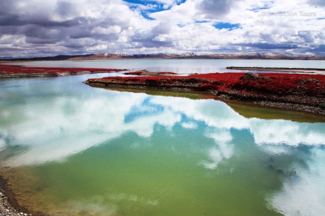 пейзаж Цинхай-Тибетского плата