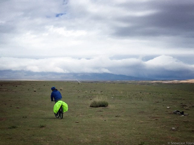 Вангден едет по степи 