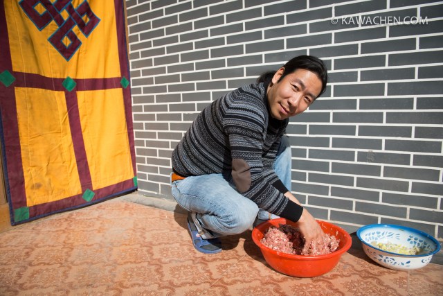 snowlion tours - туры в тибет 1