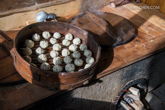 snowlion tours - туры в тибет 11