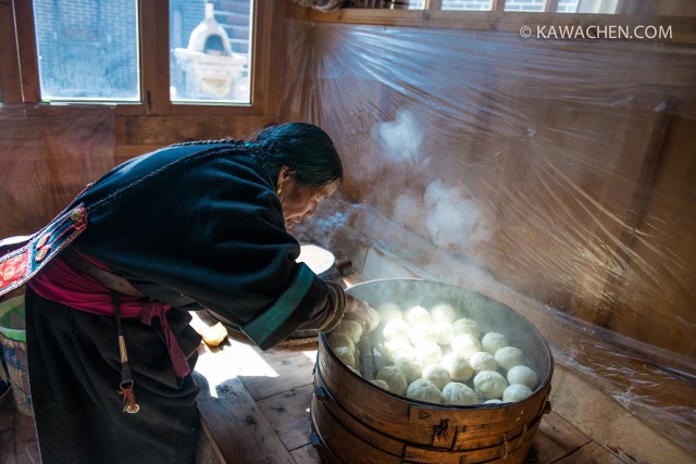 snowlion tours - туры в тибет